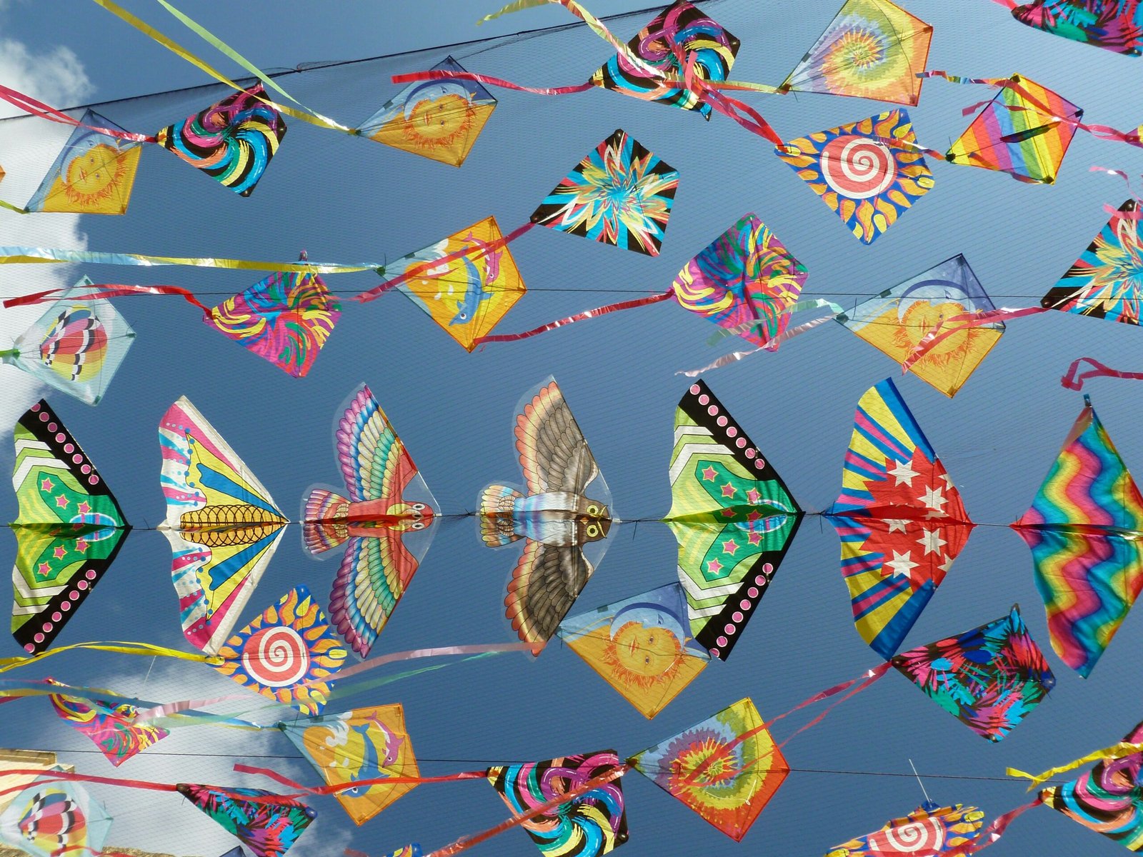 Festival special kites