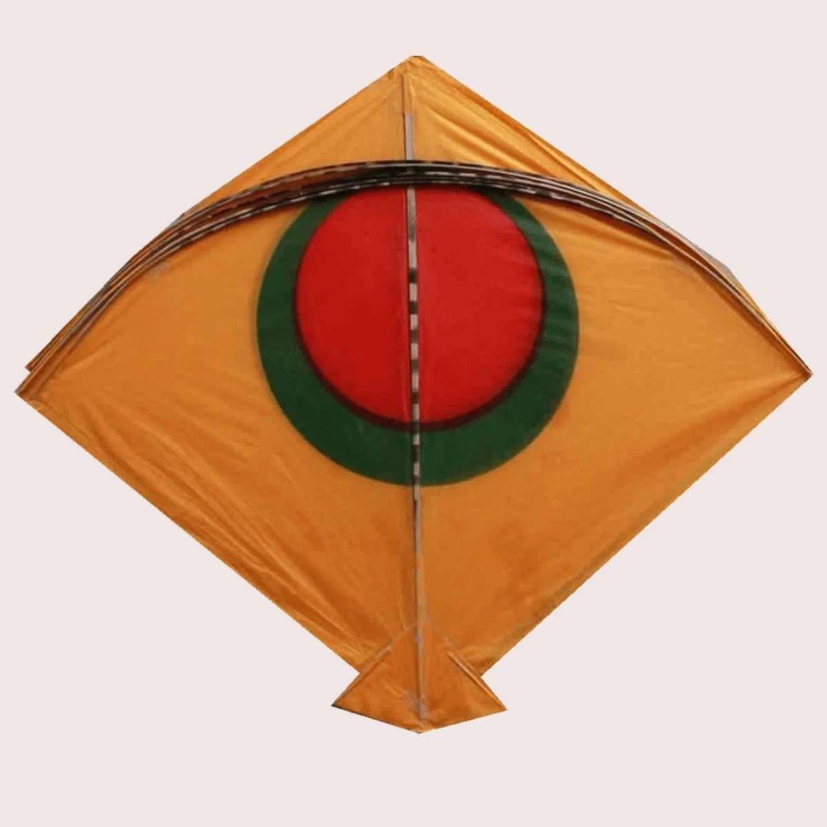 Fighter kites and colourful patang